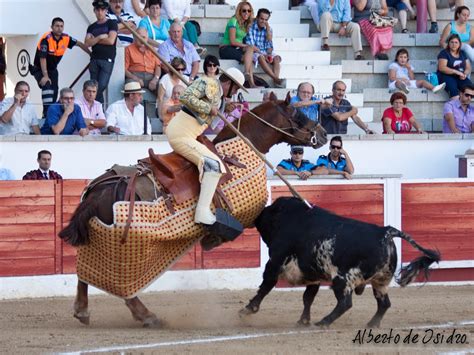 videos corridas|Corridas de Toros Y Caballos .